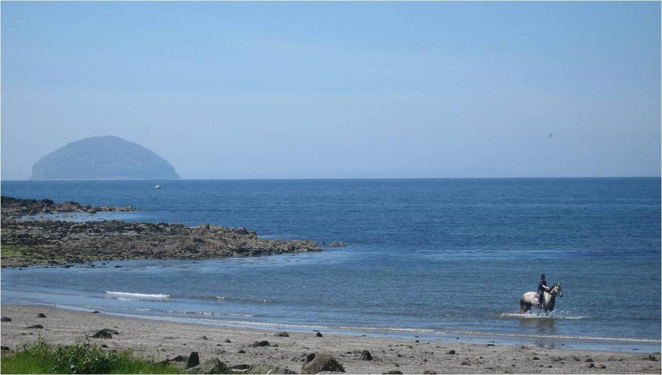 Woodland Bay Hotel Girvan Dış mekan fotoğraf