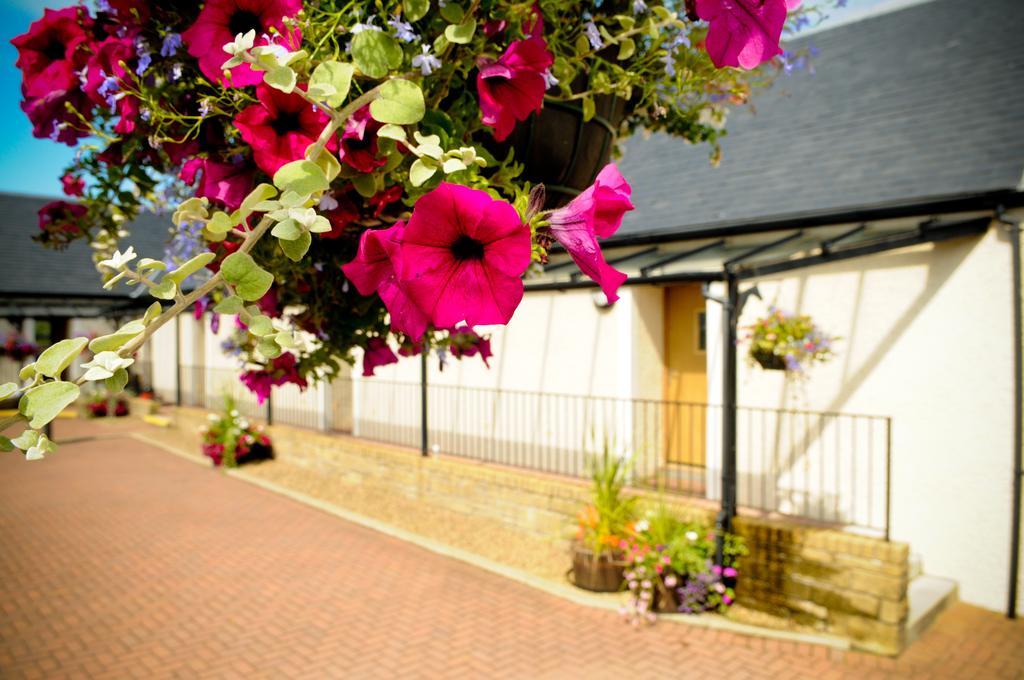 Woodland Bay Hotel Girvan Dış mekan fotoğraf